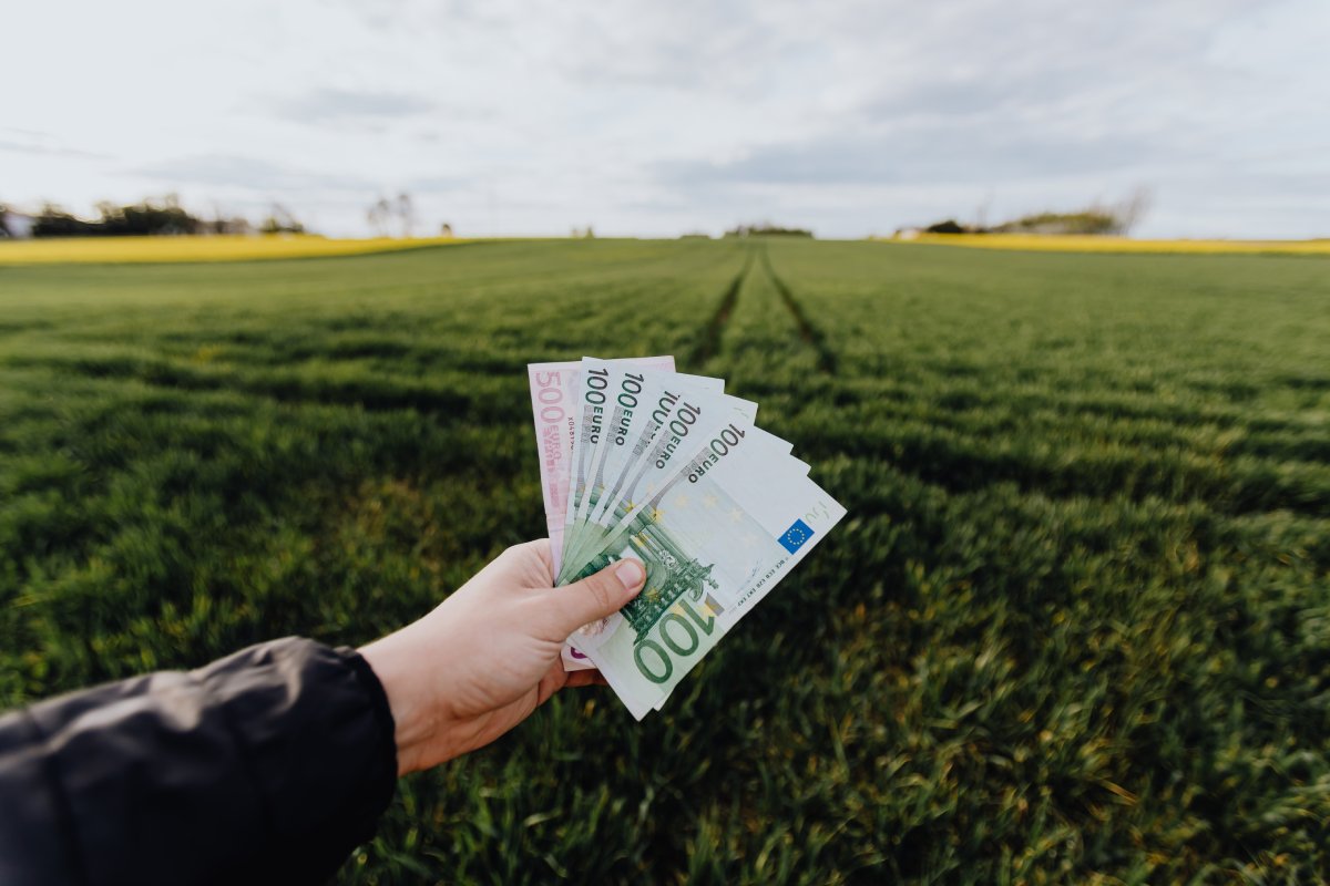 The Connection Between Sustainable Living and Ethical Investing