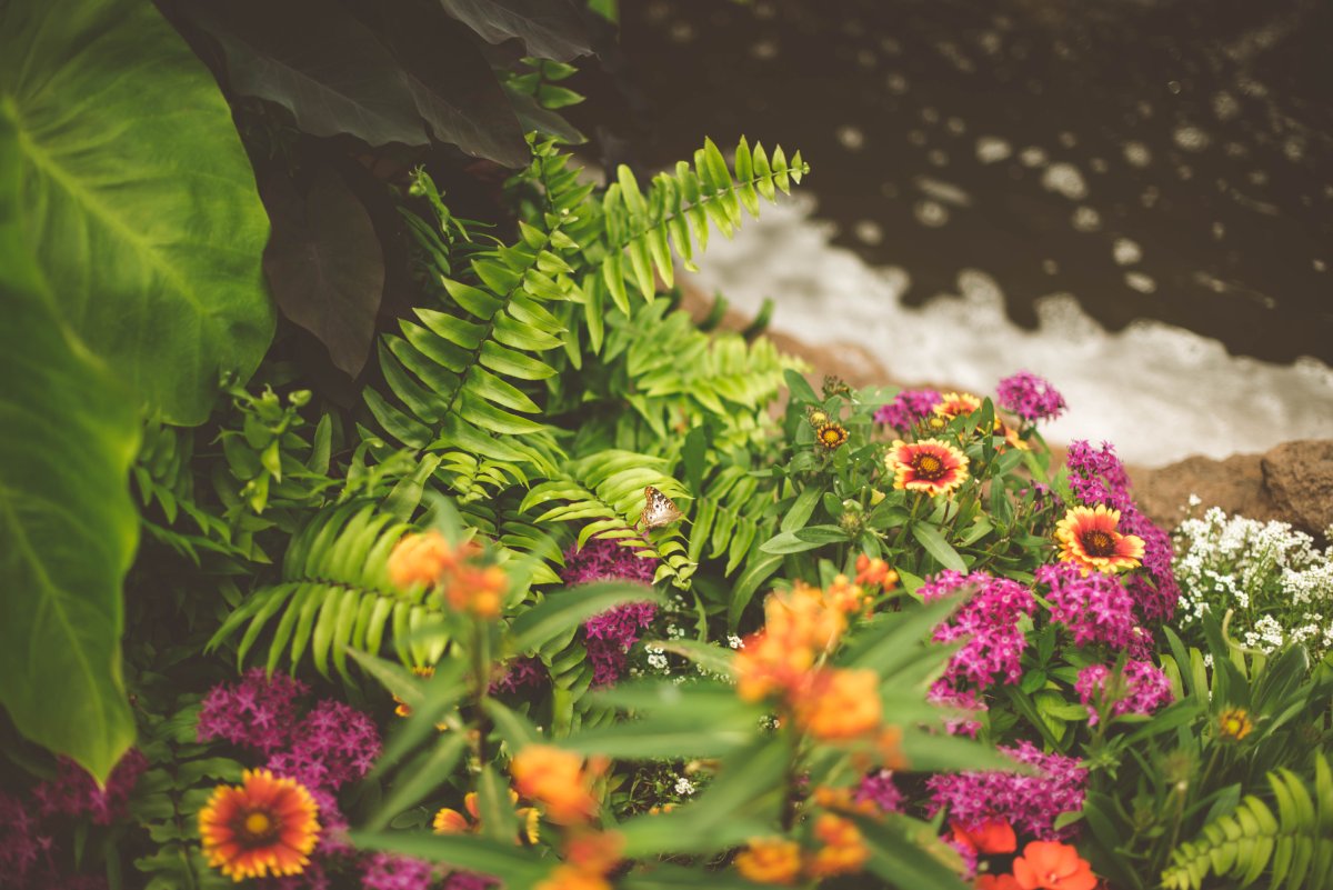 Planting for Biodiversity