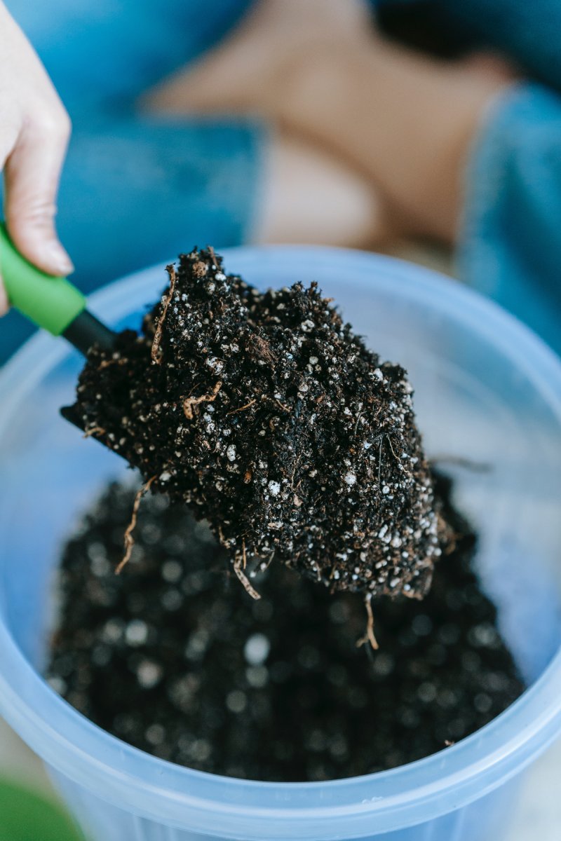 Soil Health and Composting