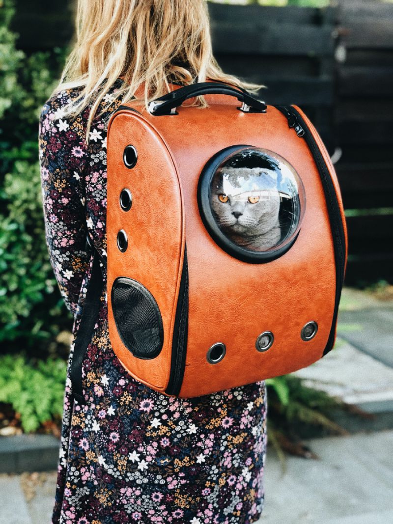 Reducing Your Pet’s Carbon Pawprint