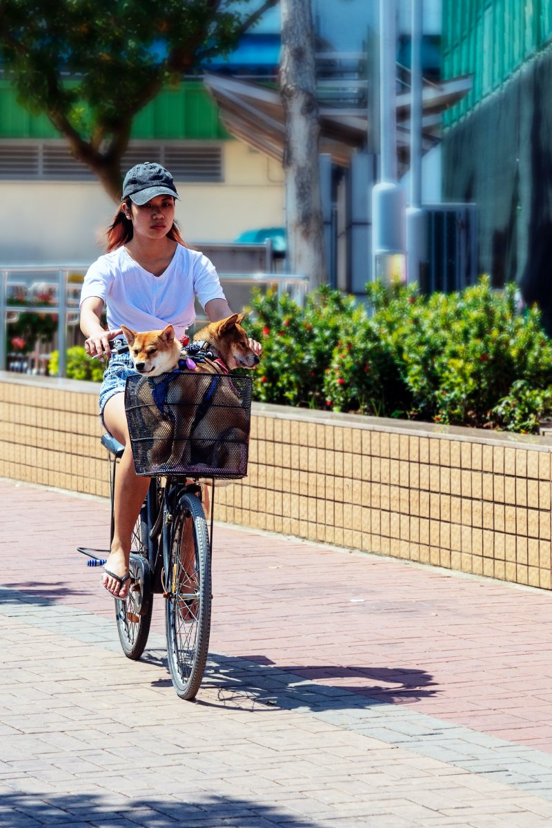 Promoting Cycling and Walking