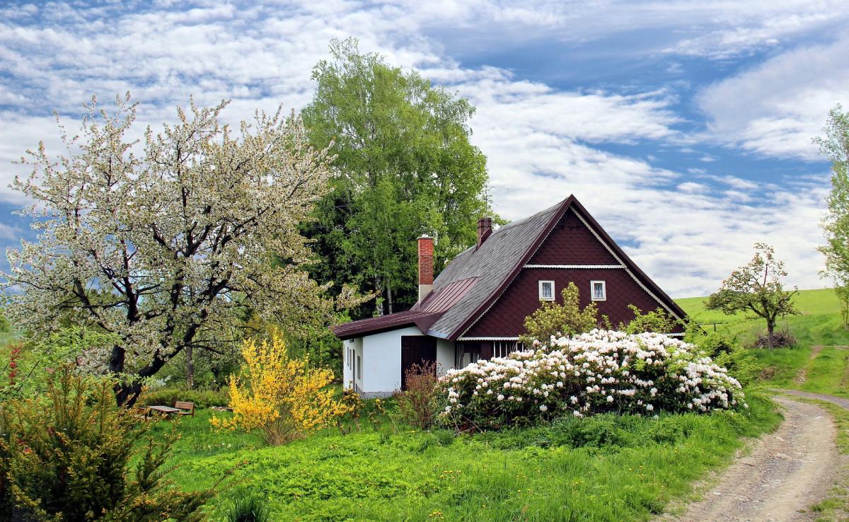 Community Aspects of Tiny House Living