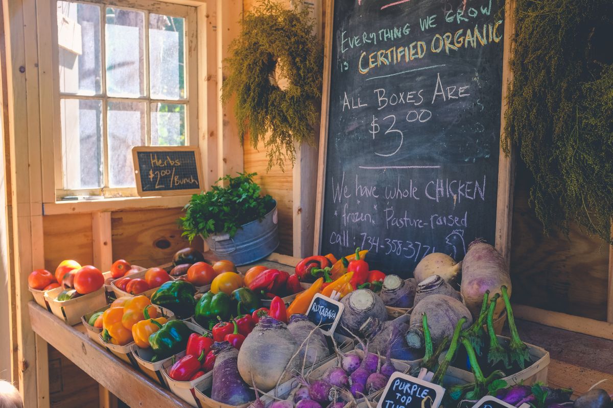 The benefits of urban farming