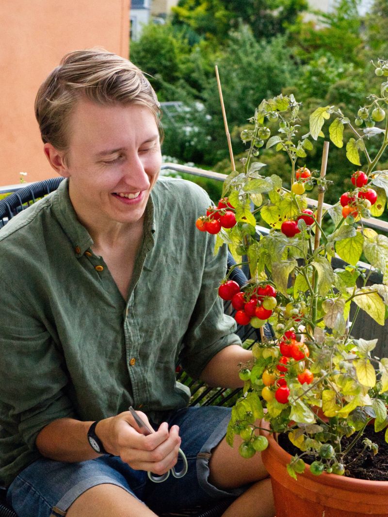 Setting up your urban farming space