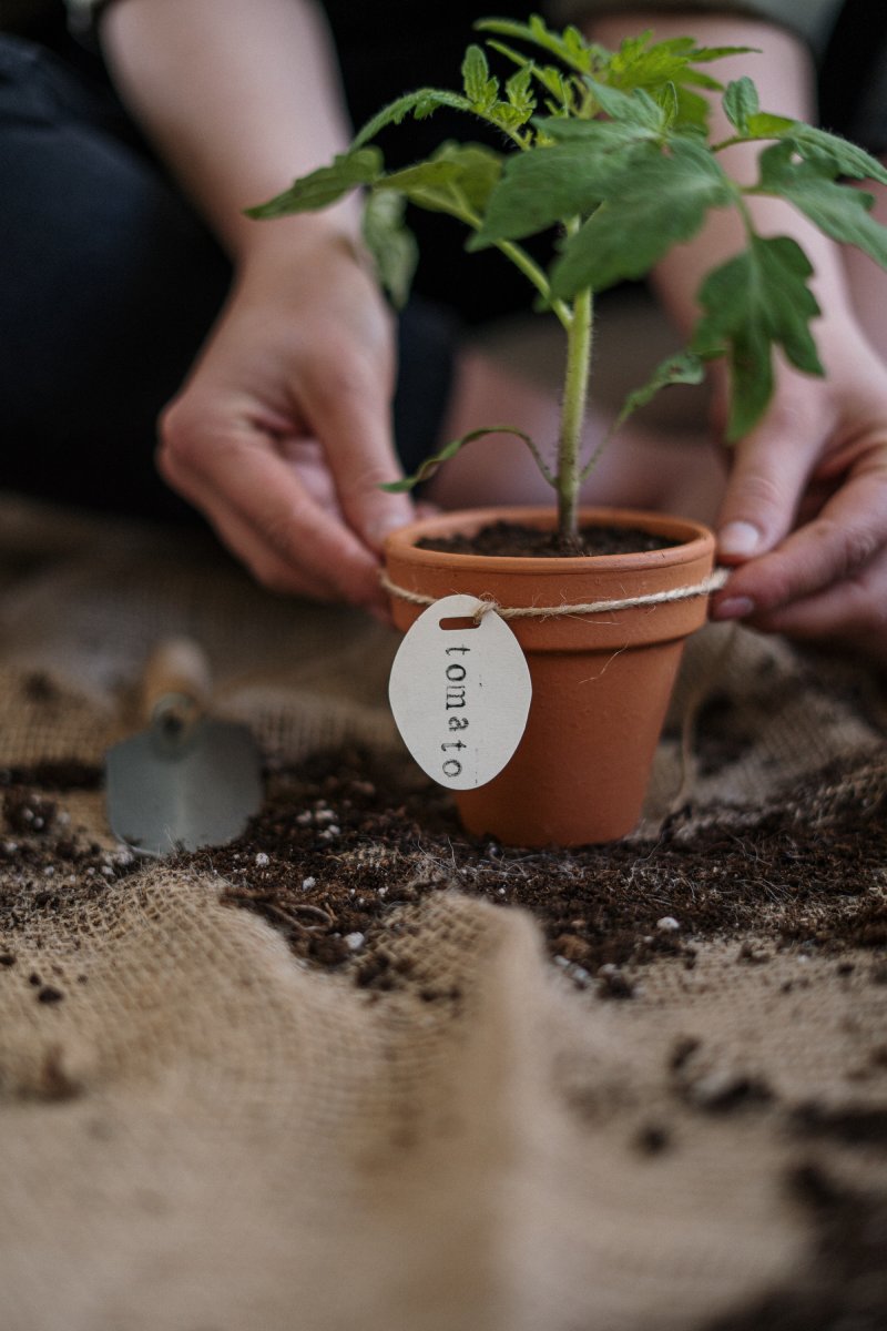 The greater impact of urban farming