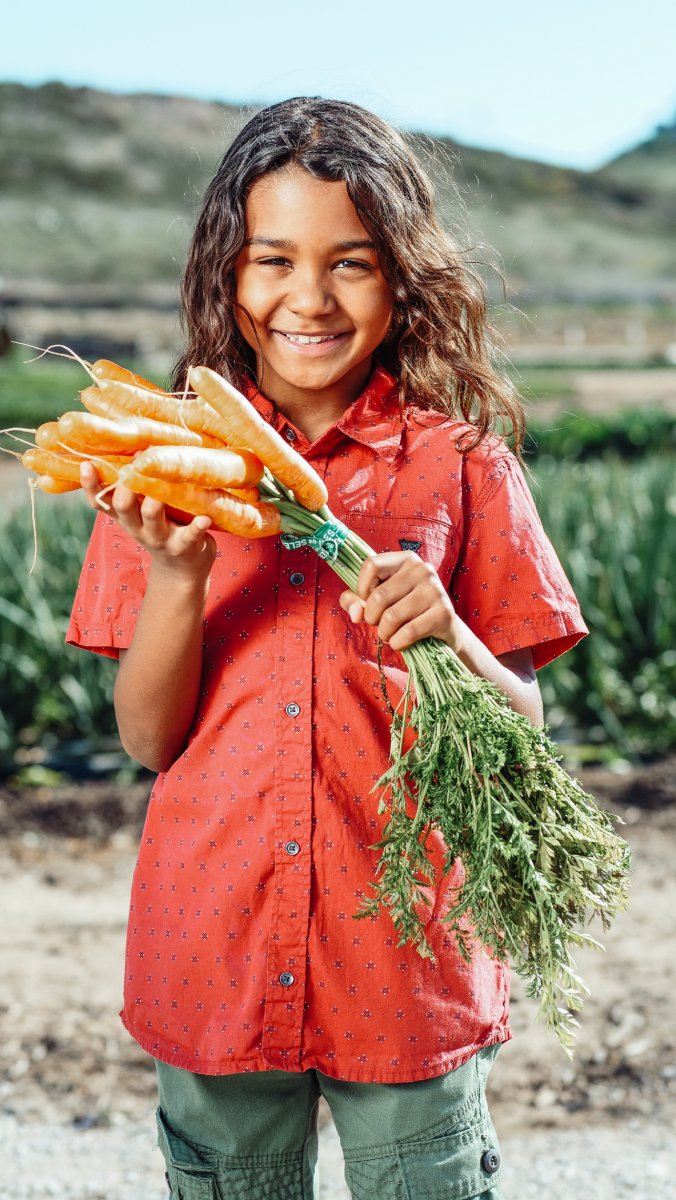 Environmental Impact of Veganism