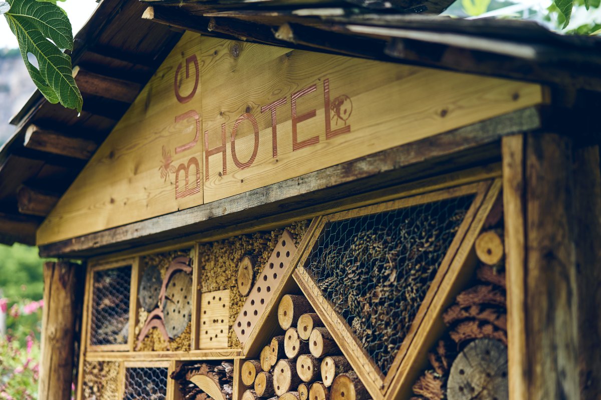 Creating Habitats for Beneficial Creatures