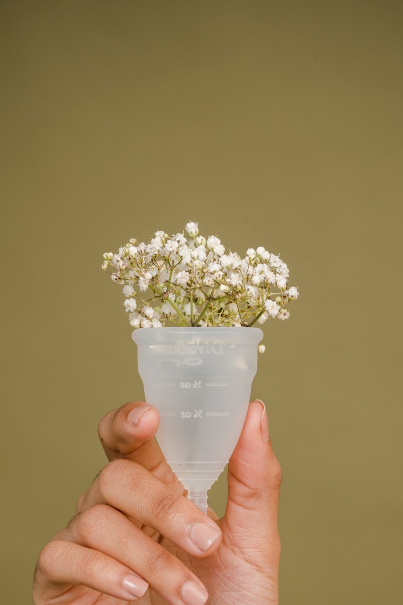 Strategies for Zero-Waste Living